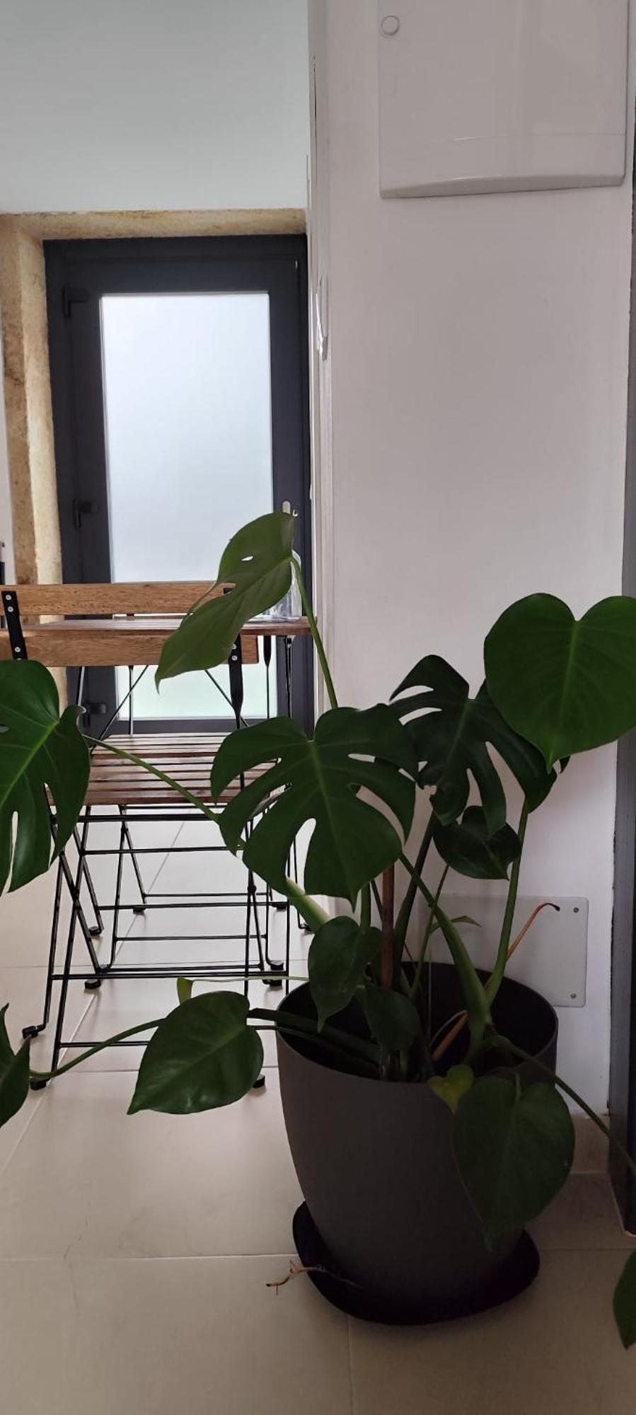 O Cabanel Apartment *